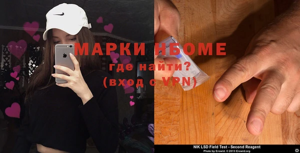 стафф Новодвинск