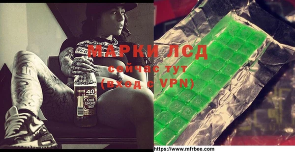 стафф Новодвинск