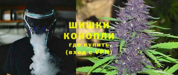 стафф Новодвинск
