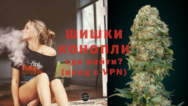 mdpv Новозыбков