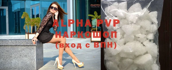 стафф Новодвинск