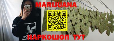 гидра Гатчина