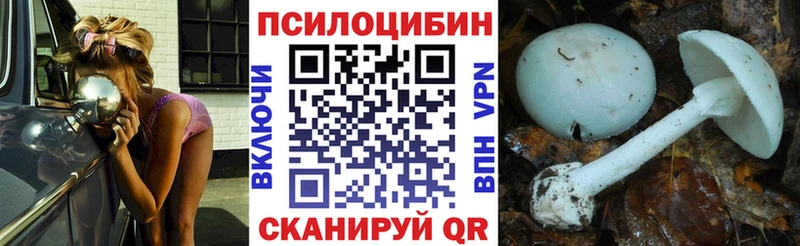 наркотики  Красный Сулин  Галлюциногенные грибы GOLDEN TEACHER 