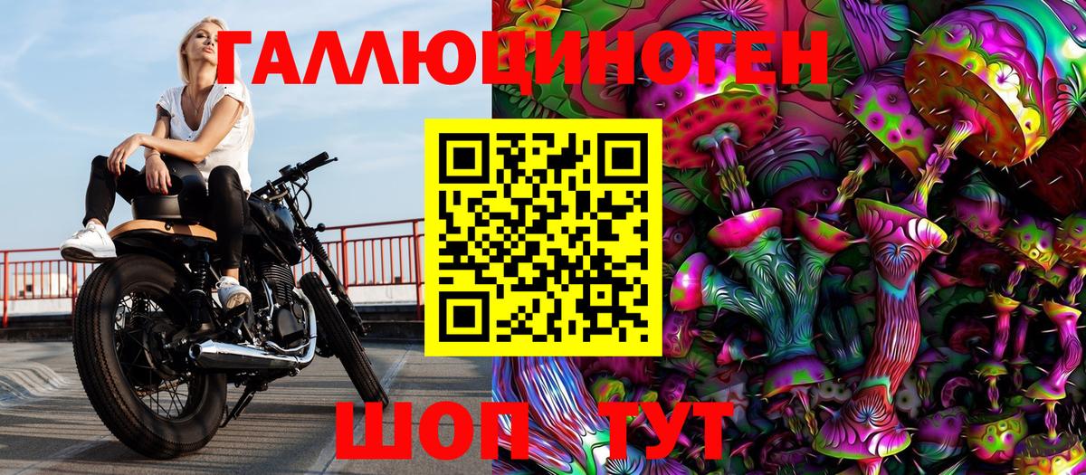 Красный Сулин  Галлюциногенные грибы Psilocybine cubensis  Вход с VPN 