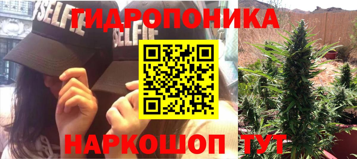 МАРИХУАНА Bruce Banner  Бошки марихуана планчик  Вход с VPN  Красный Сулин  Марихуана THC 21% 
